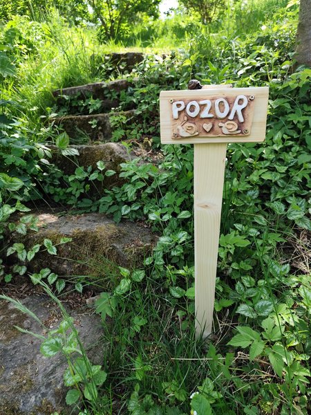 cedulkasneci2